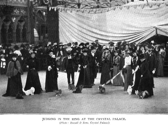 Exposition Crystal Palace 1871