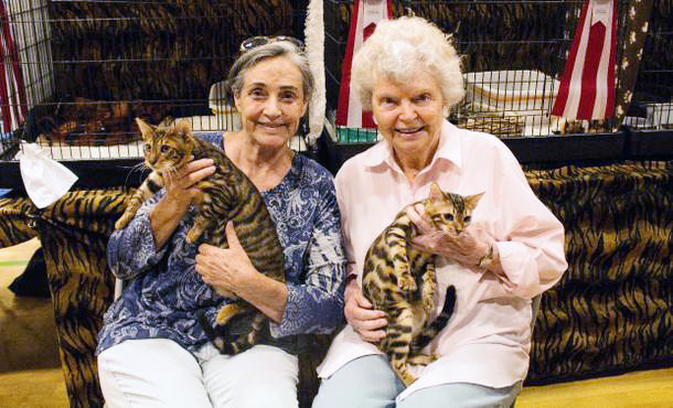 Jean Mills et judy Sugden, fondatrices des races Bangale et Toyger