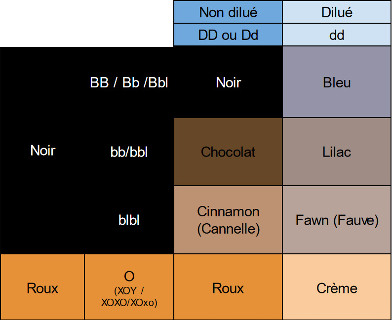 tableau dilution couleur