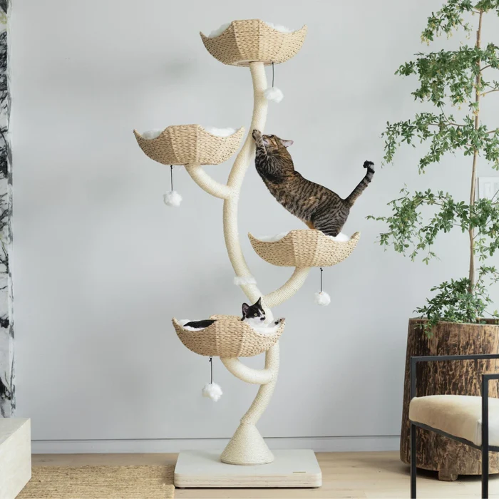 arbre a chat, Accessoires pour accueillir un chaton  