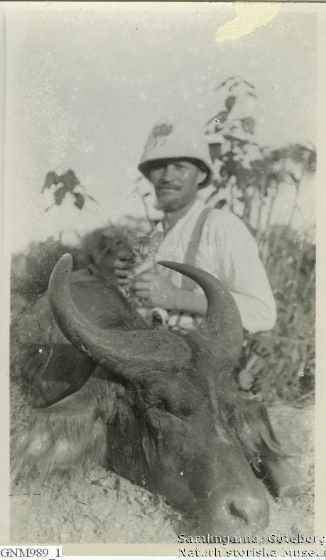 sokoke kenya